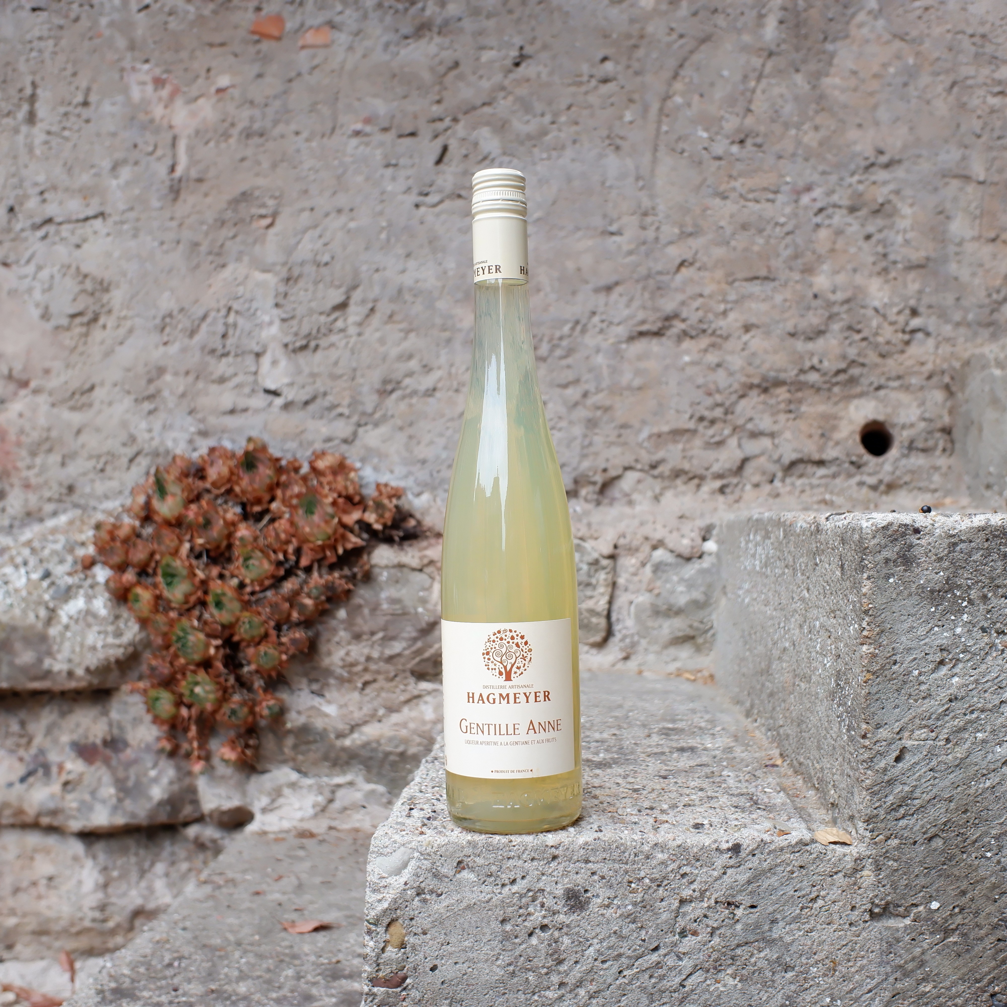 Gentille Anne - Liqueur de Gentiane
