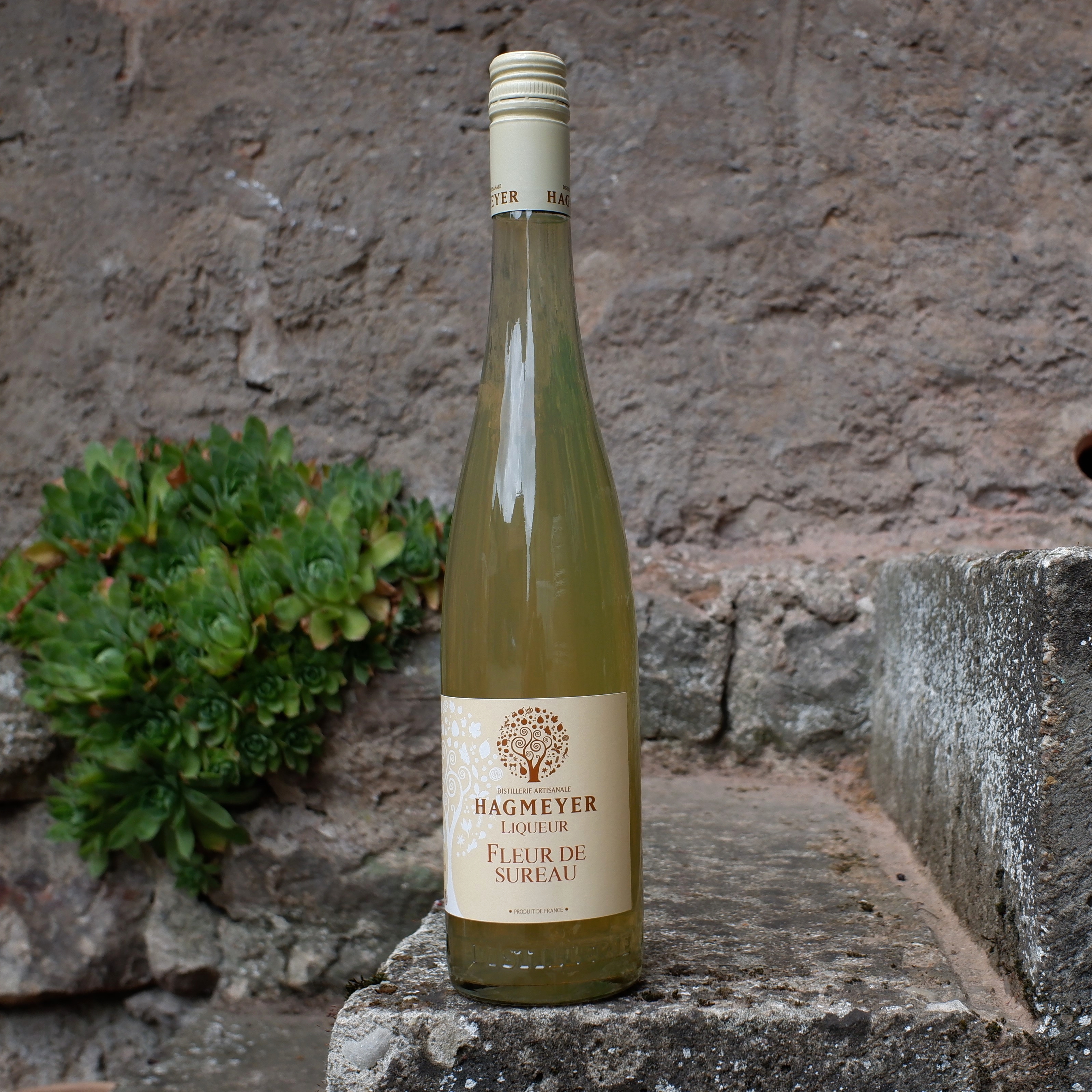 Liqueur de Fleur de Sureau