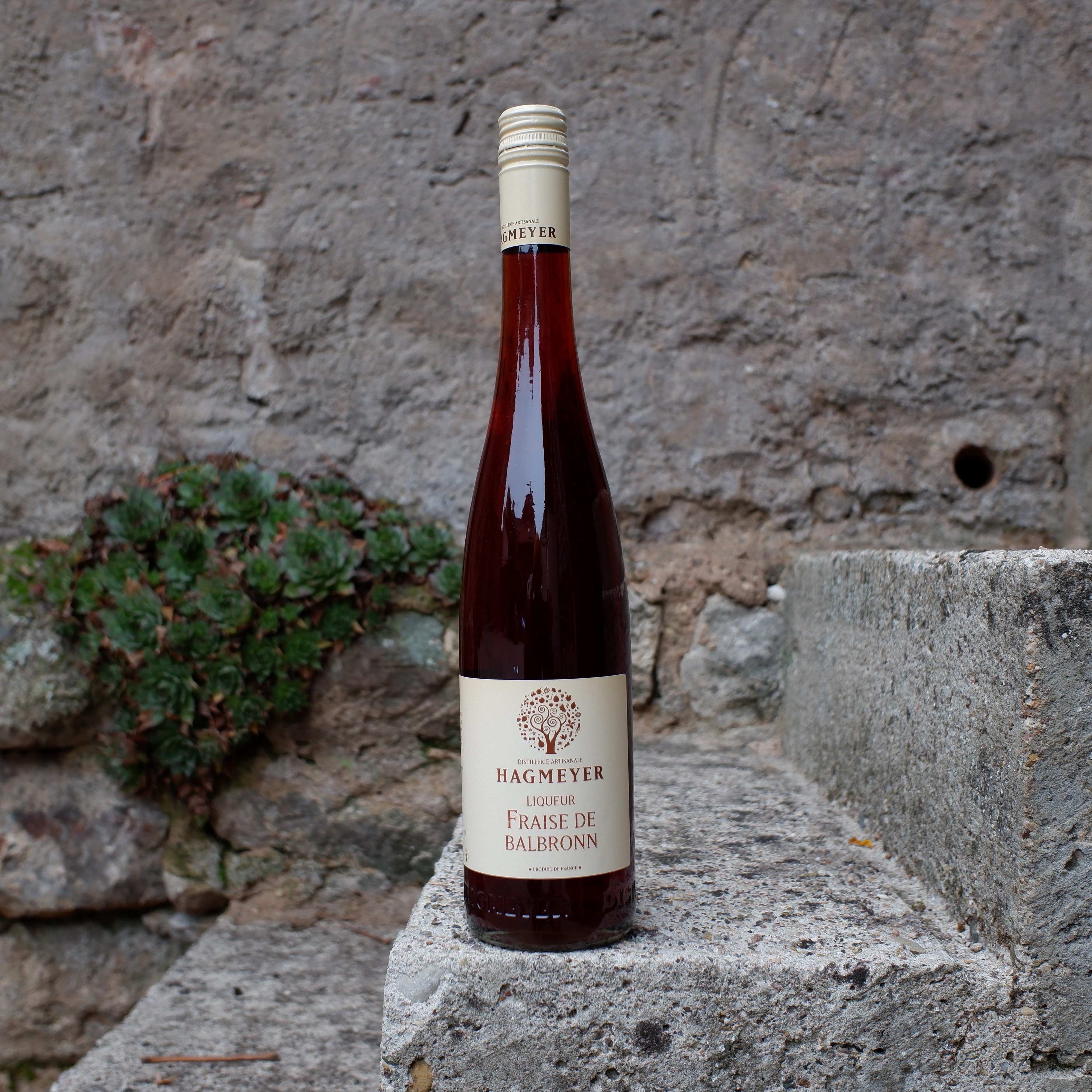 Liqueur de Fraise