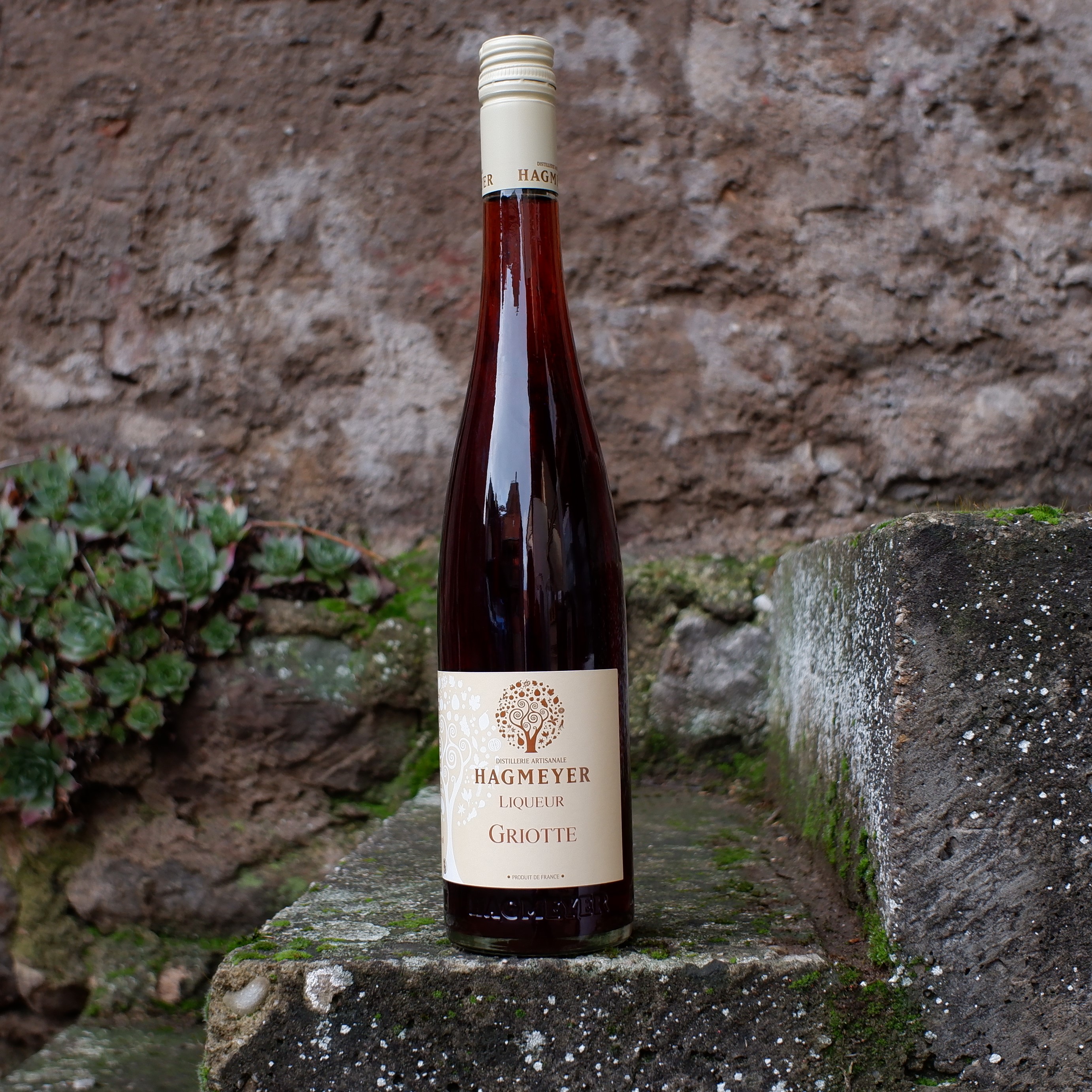 Liqueur de Griotte