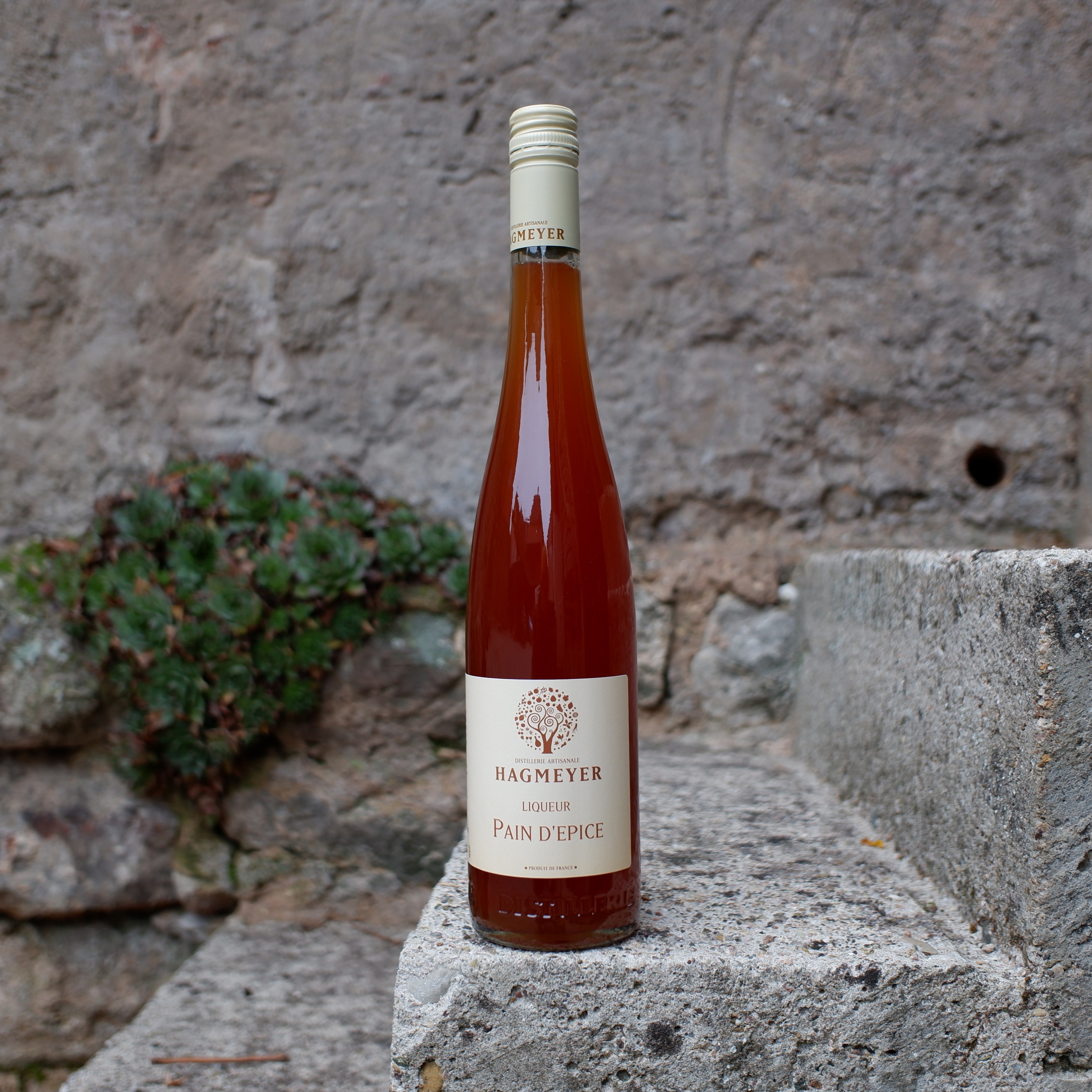 Liqueur de Pain d'épice