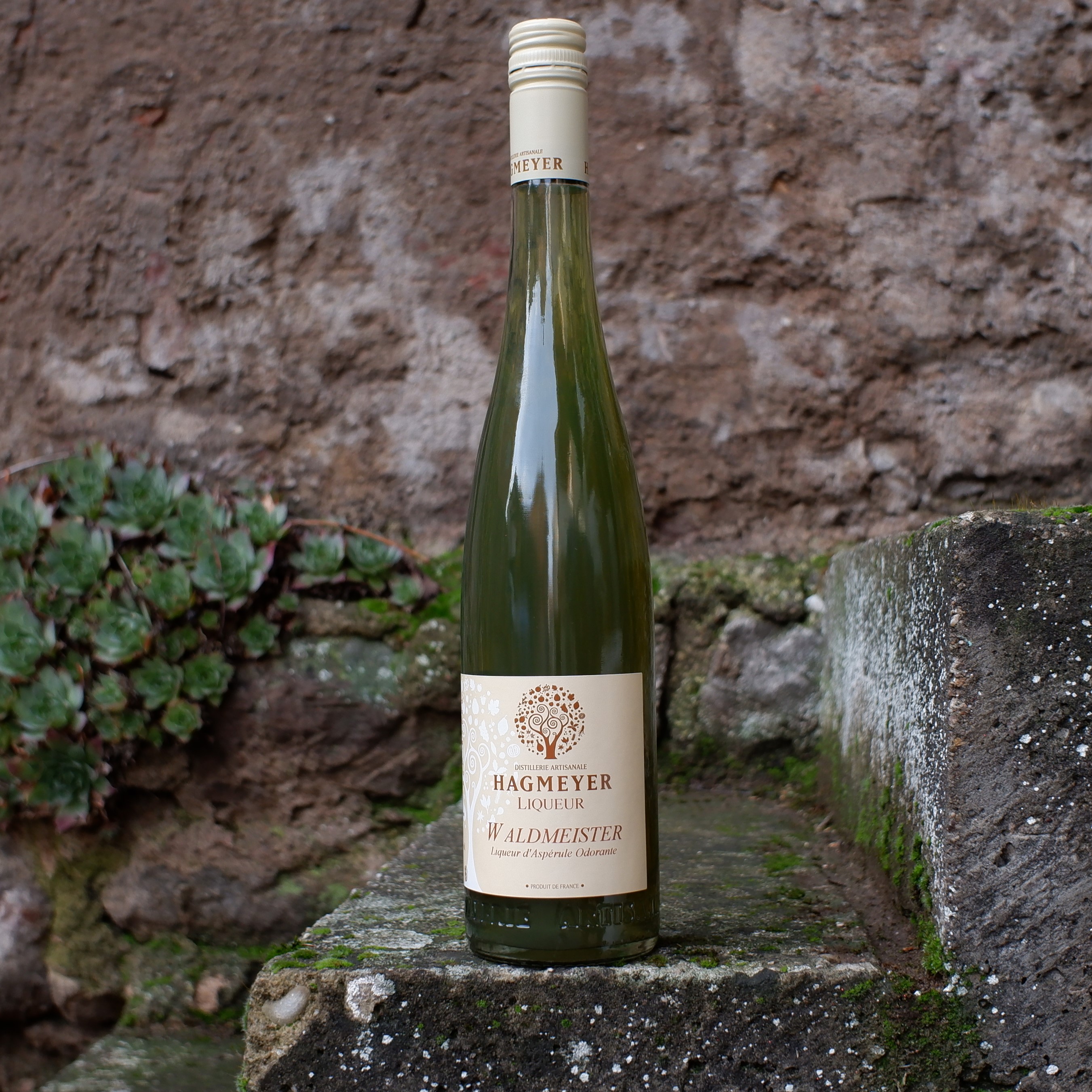 Liqueur d'aspérule - Waldmeister
