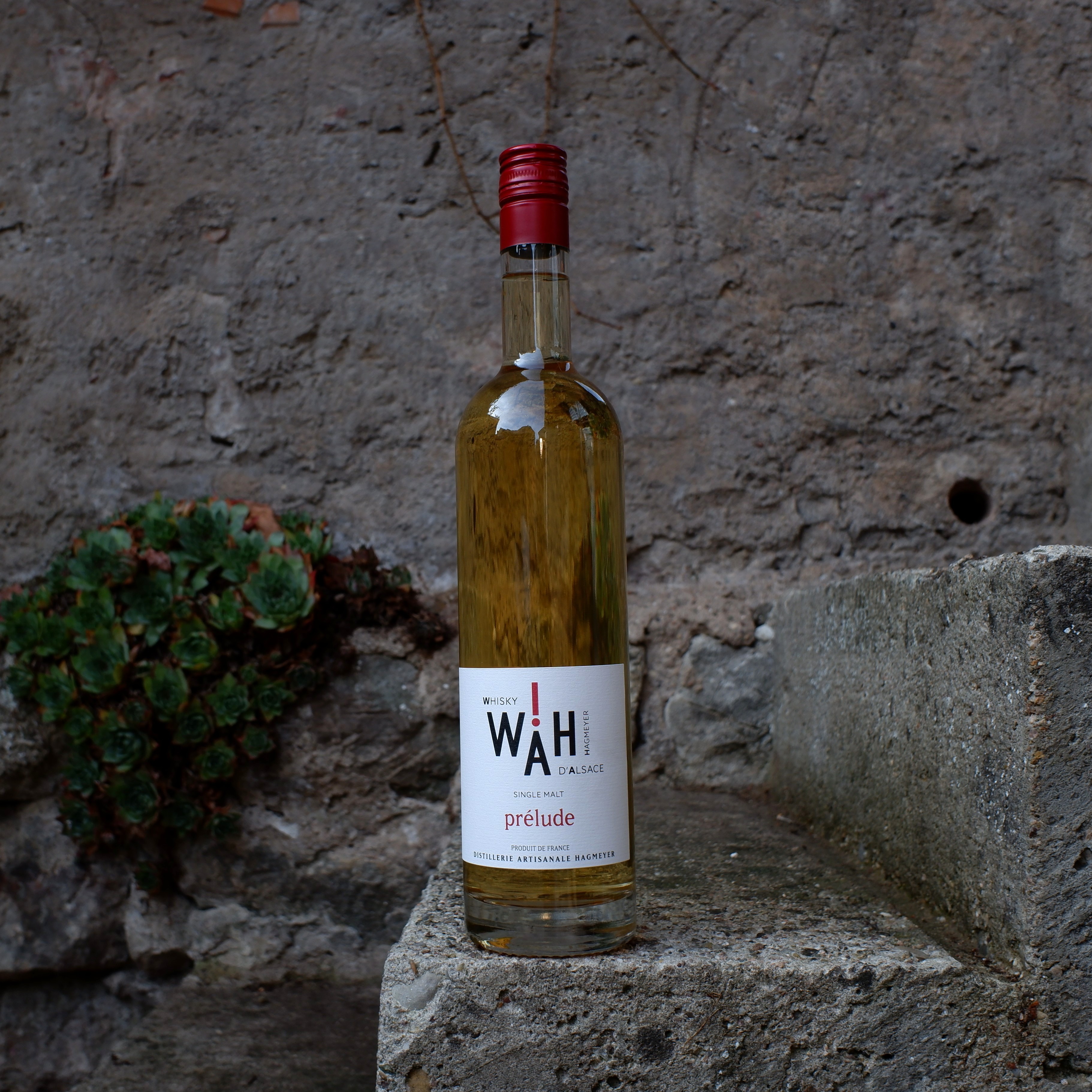 WAH ! Whisky d'Alsace - prélude