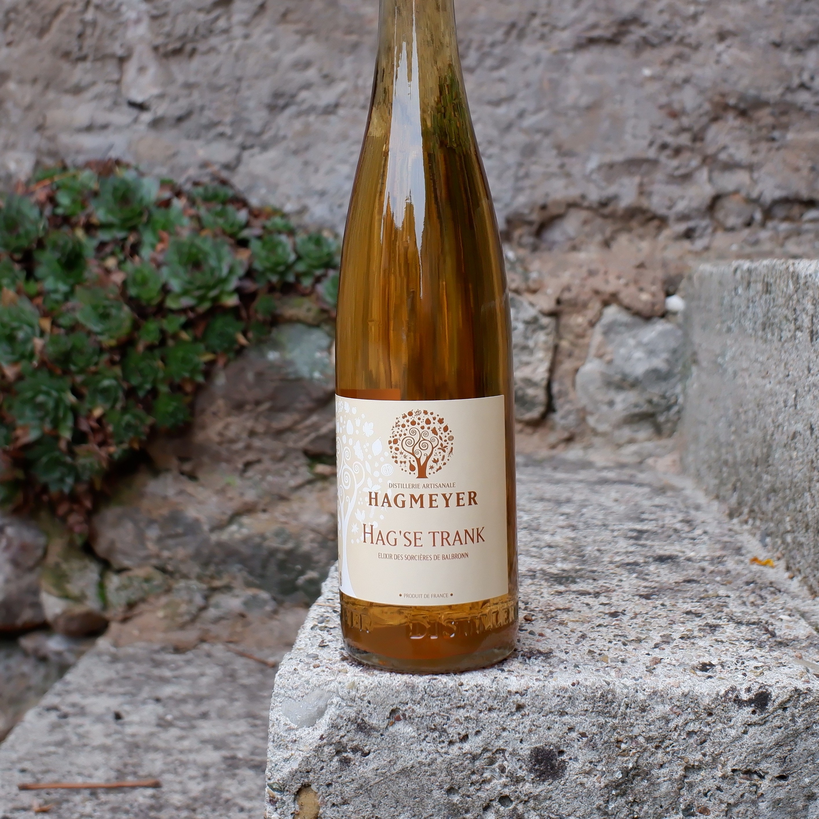 L’élixir des sorcières de Balbronn : Hag’se Trank